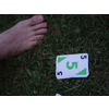 Groene 5: dat is 5 tenen in het gras